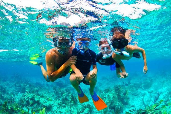 Island Experience