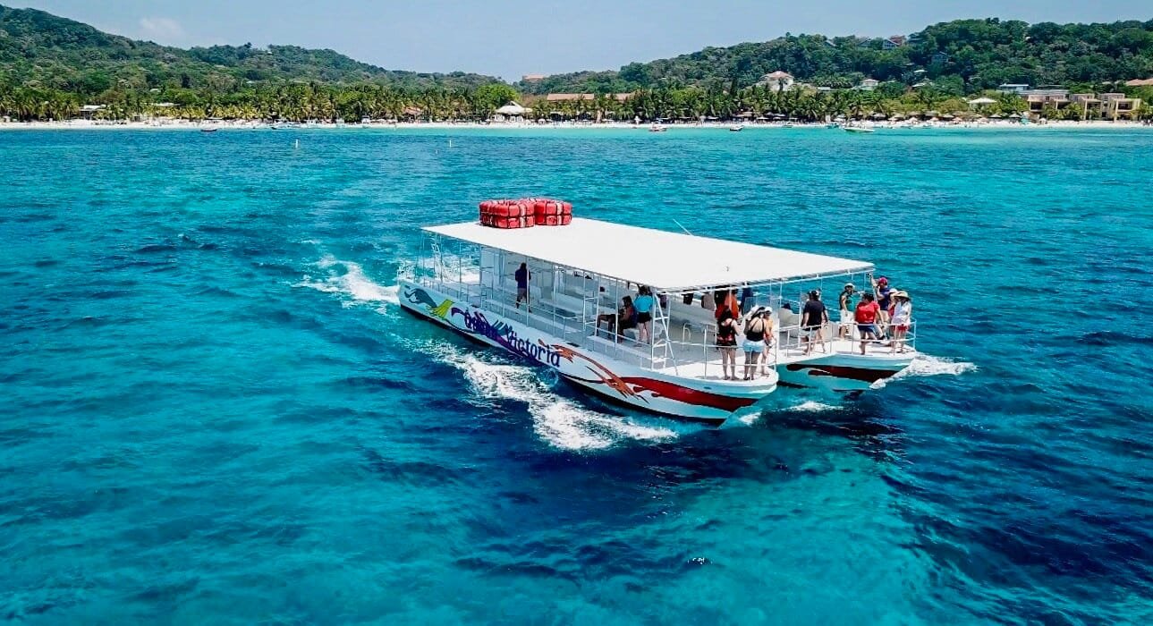 Island Experience